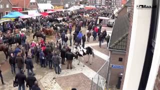 Paardenmarkt Hedel 2014 [upl. by Tamarra]