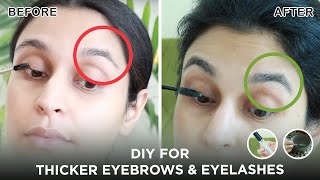 DIY For Thicker Longer Eyelashes amp Eyebrows  Updated Version  Chetali Chadha [upl. by Lyell]