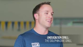 Breaking Down the Butterfly Stroke Technique [upl. by Naggem]