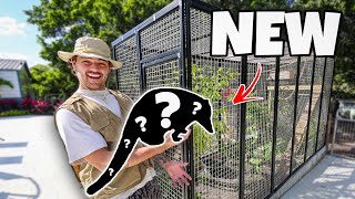 We Bought a EXOTIC ANIMAL for NEW Enclosure [upl. by Aloibaf]