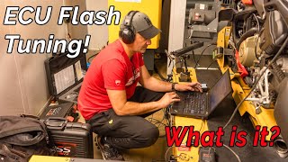 ECU Flash Tuning – What Is It [upl. by Mandy]