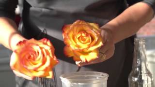 How to Preserve Flowers with Wax [upl. by Rikki]