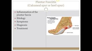 Skeletal Muscle Diseases [upl. by Ahsil]