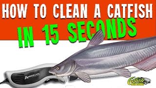 How To Clean A Catfish In 15 Seconds [upl. by Awhsoj]