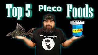 My Top 5 Favorite Pleco Foods [upl. by Octavian]