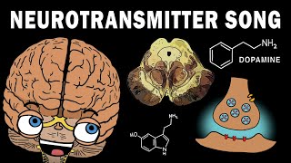 THE NEUROTRANSMITTER SONG [upl. by Weisbart]