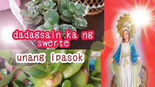 MGA PAMPASWERTE SA PAGLIPAT NG BAHAYpamahiin traditional [upl. by Ainos]