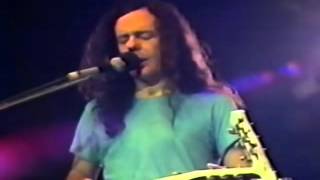 David Lindley Mercury Blues 480p [upl. by Ragg]