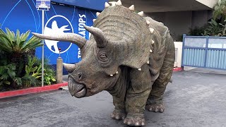 Triceratops Encounter Plus Raptor Blue in Jurassic World at Universal Studios Hollywood  Dinosaurs [upl. by Cinnamon]