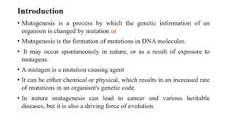 MUTAGENESIS [upl. by Lidah]