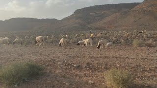 Visit khénifra morocco [upl. by Neehsas]