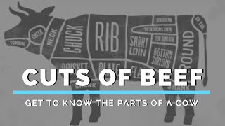 Cuts of Beef Get to Know the Parts of a Cow [upl. by Sandberg]