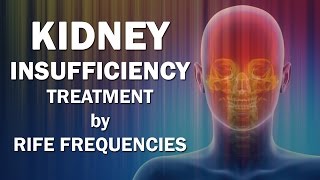 Kidney Insufficiency  RIFE Frequencies Treatment  Energy amp Quantum Medicine with Bioresonance [upl. by Ylrac]