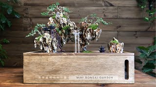 Making a mini bonsai garden with Pondless Waterfall [upl. by Palestine919]