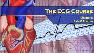 The ECG Course  Rate amp Rhythm [upl. by Aihtak]