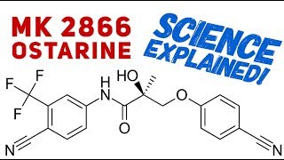 Ostarine Science Explained  Science Behind Ostarine  MK2866  SARMs  Enobosarm [upl. by Oriane]