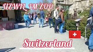 🇨🇭Uzwil TG  Uzwil im Zoo in Switzerland  Spring 4K 2842022 [upl. by Tanitansy]