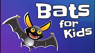 Bats for Kids [upl. by Les]