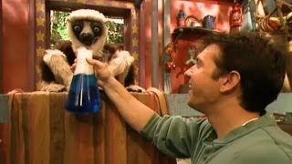 Zoboomafoo Cap 39 quotApestososquot [upl. by Allisirp]