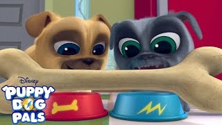 Theme Song  Puppy Dog Pals  Disney Junior [upl. by Filippa546]