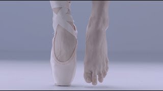 Ballet Anatomy Feet [upl. by Battista95]