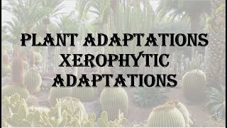 Plant Adaptations  Xerophytic Adaptations HPU BSc 1st year [upl. by Aicenav]