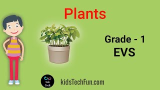 Plants  Grade 1  EVS Environmental Studies CBSE Curriculum [upl. by Braun495]