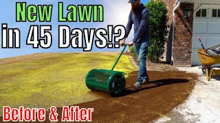 How to Plant a New Lawn with 4 Easy Steps [upl. by Ahsital]