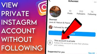 How To View Private Instagram Account Without Following  AndroidiOS [upl. by Enreval]