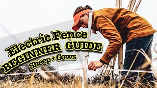 HOW TO INSTALL ELECTRIC FENCE FOR SHEEP AND COWS [upl. by Emiatej]