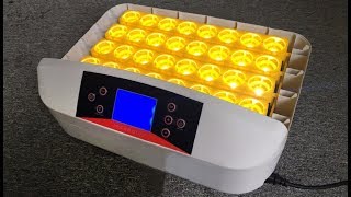 3256 Egg IncubatorDemo [upl. by Nwadal8]