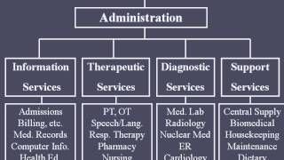 Hospital Organizational Structure [upl. by Corso]