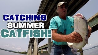 How To Catch Catfish In The Summer  Catfishing Techniques To Try [upl. by Peterman340]