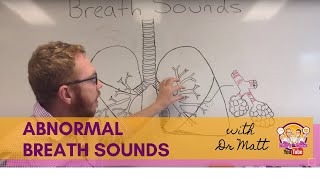 Abnormal Breath Sounds  Respiratory System [upl. by Attennek]