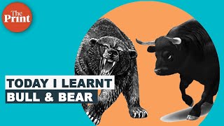 What do bull and bear mean in the stock market [upl. by Enialb]