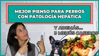 PIENSOS PARA PERROS HEPÁTICOS  MÁS 3 MENÚS CASEROS 🍳 [upl. by Nanah]