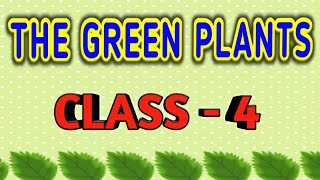 The green plants  Class 4  Science [upl. by Ylagam337]