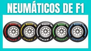 NEUMÁTICOS en F1 ⚫ Explicación de los básicos 👌 [upl. by Callahan786]