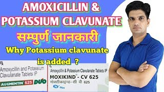 How to make powder oral amoxycillin potassium clavulanateaugmentin duo suspension for childHINDI [upl. by Nevs]