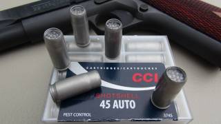 45 ACP CCI Shotshell Review [upl. by Suiradal]