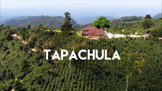 Tapachula Tuxtla Chico y la Ruta del Café en Chiapas  La puerta al Soconusco [upl. by Haimarej]