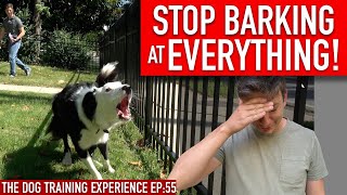 How to Train Your Dog to STOP BARKING at EVERYTHING That Moves [upl. by Kathlene]