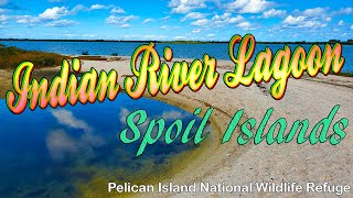 Kayaking around Pelican Island National Wildlife Refuge amp Indian River Spoil Islands [upl. by Nollek]