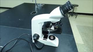 Compound Microscope Tutorial  Boston University Biology [upl. by Mahla383]