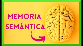 🧠Qué es la Memoria Semántica  Lista de Psicología [upl. by Burgess548]