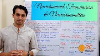 Neurohumoral Transmission in CNS Part 1 Neurotransmission and Neurotransmitters in CNS [upl. by Cordy]