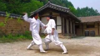 Taekkyeon a traditional Korean martial art [upl. by Sandra361]