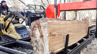 My First Time Sawing Honey Locust [upl. by Hennessey150]