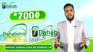 Dahabshiil bank [upl. by Garald]