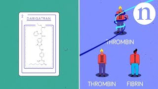 Thrombosis anticoagulants and the clotting cascade [upl. by Hctub986]